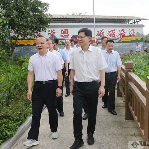 南宁市马山中学是哪个区