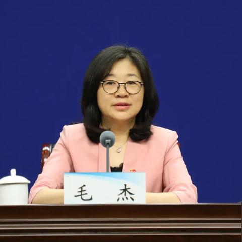 河南厅怎么样