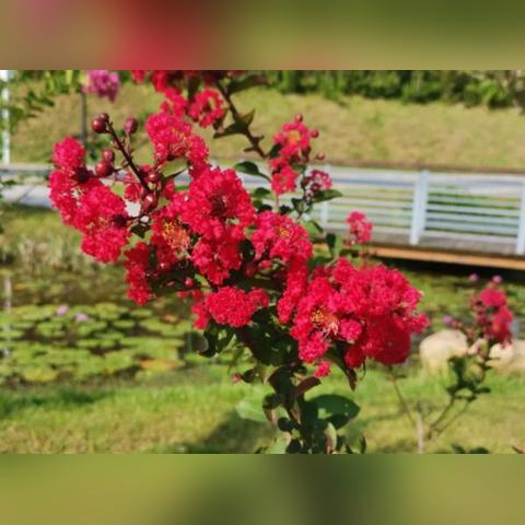 河南济源都有哪个城市