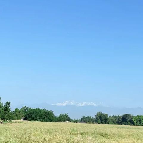 成都市马克手抓店地址在哪里