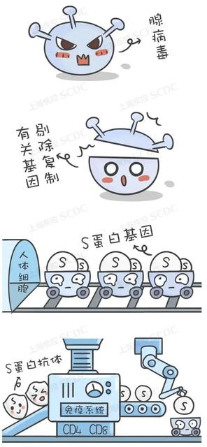 感染过新冠病毒患者可以接种疫苗吗