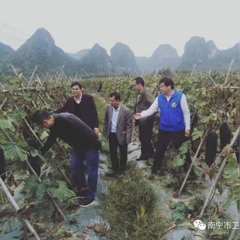 南宁铁路领航的相关长尾关键词有哪些