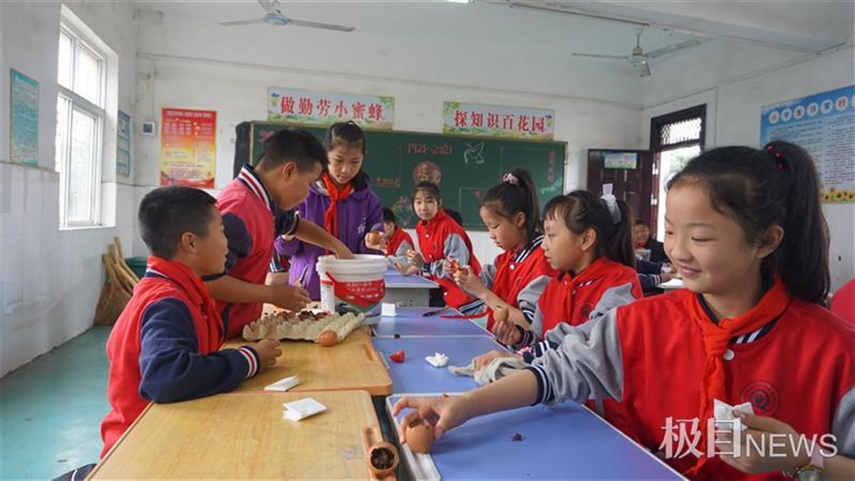 盆栽蔬菜种植技术视频,想学习种植花木有什么好建议?