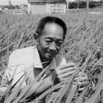 长沙市内快递叫什么公司