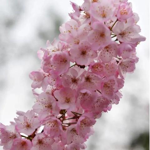 2025.12.12武汉最新天气预报查询