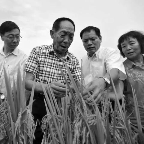 长沙市肝科哪个最好