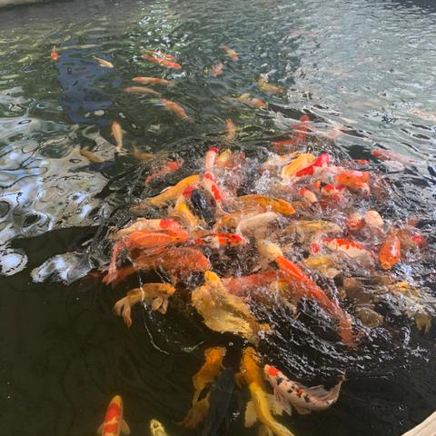 济南市郊公交有哪些