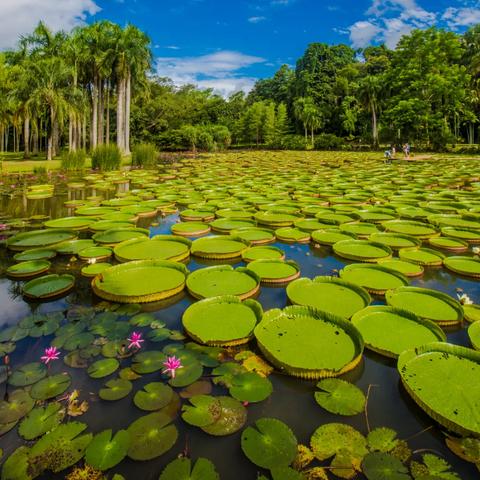云南跨境电商开发平台的相关长尾关键词是那些
