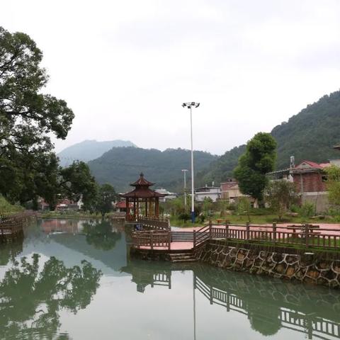 桂林市哪里需要砍按树的