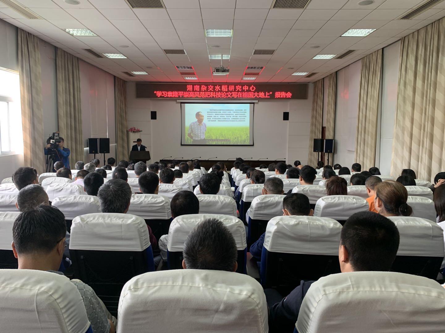 发展研究毕业论文怎么写毕业论文浅谈儒家美学在当代古典发展史上的地位