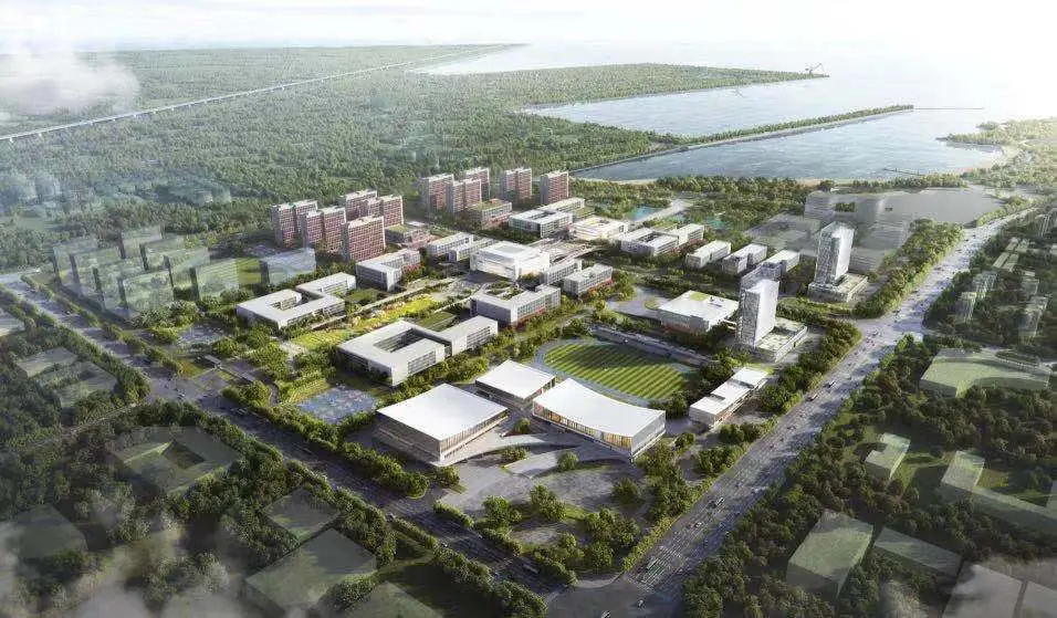 知乎国税王军怎么样 epam怎么样知乎