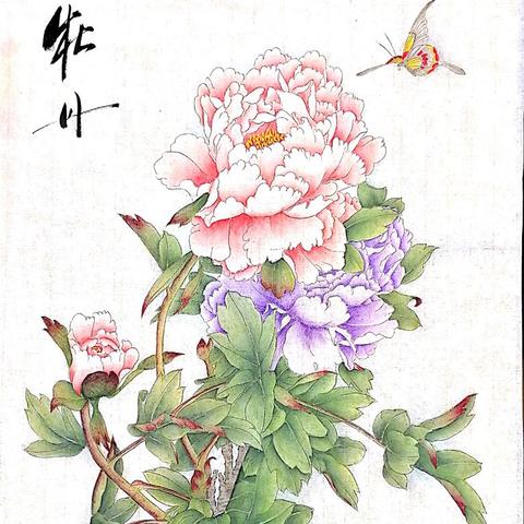 西安盛世雅居装修公司咋样？
