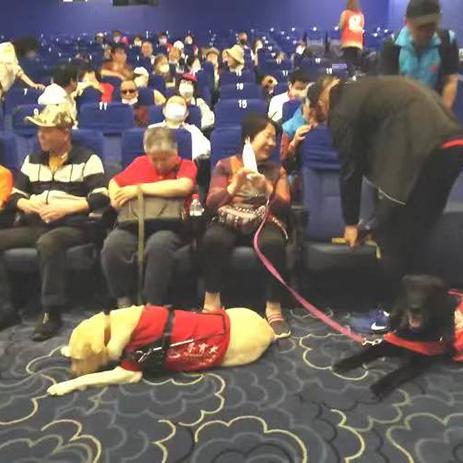 武汉市黄浦路影院叫什么