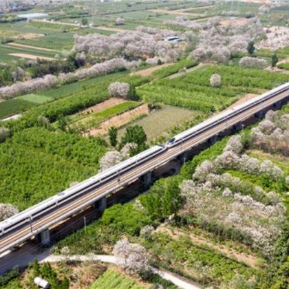 河南心脏专科哪个好