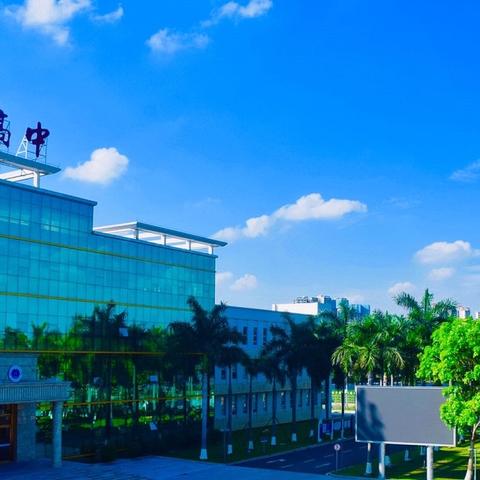 东莞市五大名校所在哪里