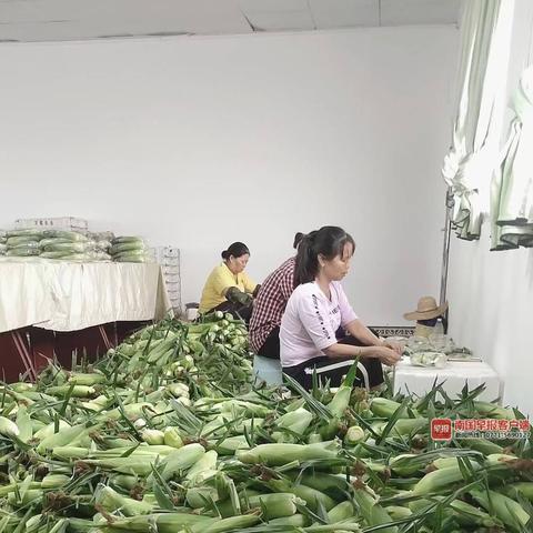 南宁的特色水果的相关长尾关键词有哪些