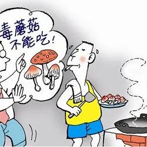 厦门市街道是什么级别