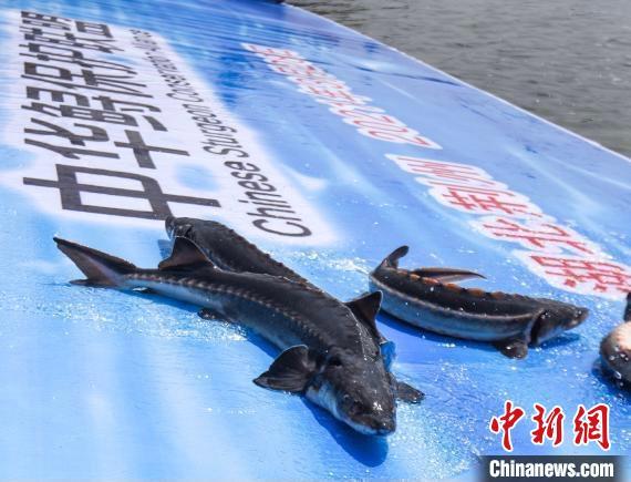 宝宝贪吃有这些危害 宝宝贪吃有这些危害