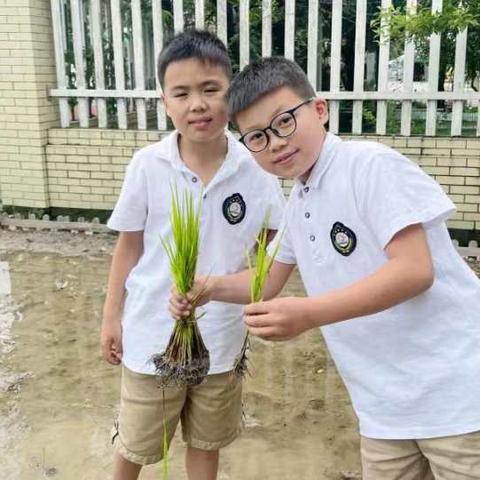 杭州市临平区乾元小学怎么样？