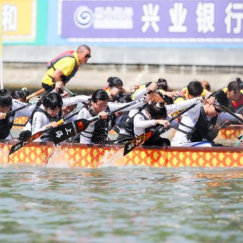 上海哪些地区可以赛龙舟