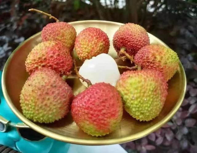 过量食用荔枝易得荔枝病