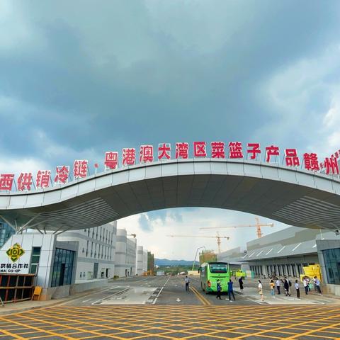 信丰物流如何，速度快不快？