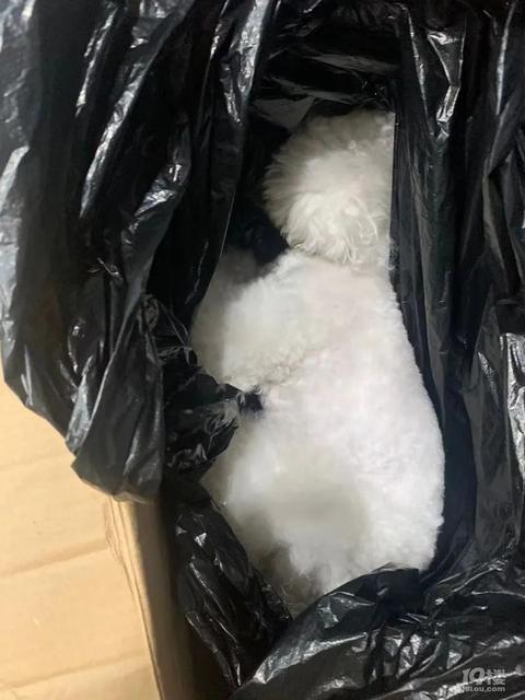 孩子被狗吓到了怎么办