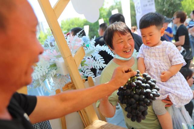 盆栽巨峰葡萄用什么土,在家里种植葡萄树会招虫子马峰什么的么?"