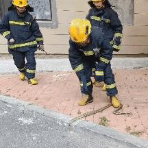 生肖蛇5月运势及运程怎样(生肖蛇5月运势及运程怎样呢)