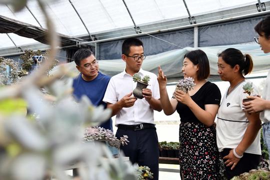「奋斗百年路启航新征程总书记的足迹」济南三涧溪村：激发新活力打造乡村振兴齐鲁样板
