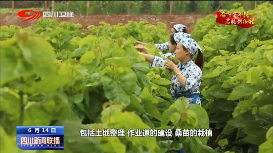 四川新闻联播|资阳：强产业兴旅游接续推进乡村振兴