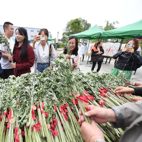 兰州租车网价格表的相关长尾关键词有哪些