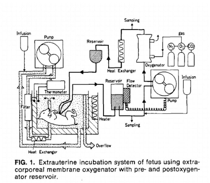 橡胶工业会计论文参考文献想把家里消毒一下