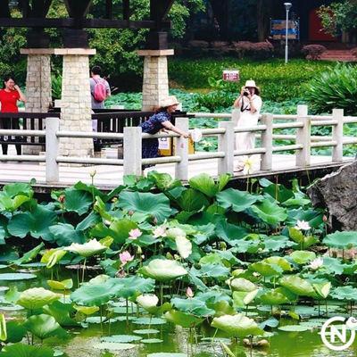 南宁市去哪个公园好玩一点