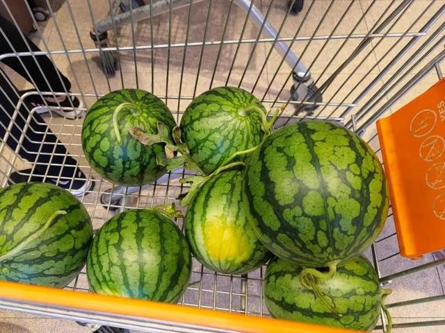 宝宝偏头影响颜值