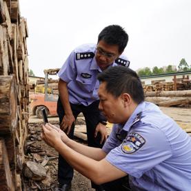 宁波 成品油 走私的相关长尾关键词有哪些