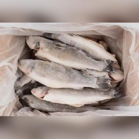 冻品怎么找一手货源卖