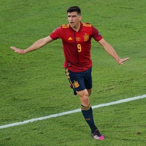 保定市凤雏杯的长尾关键词有什么