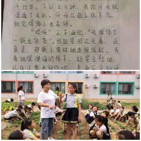 陕西河南哪个教育好一点