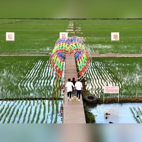 哈尔滨市什么公园好玩