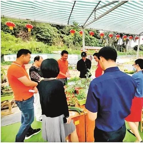 深圳市普博公司怎么样