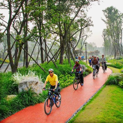 成都市哪里买绿色植物的