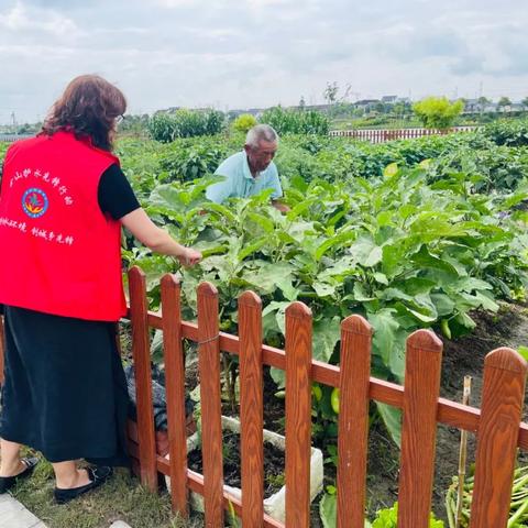 深圳市酷岛公司怎么样