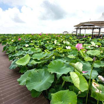 宁波市下边有什么区