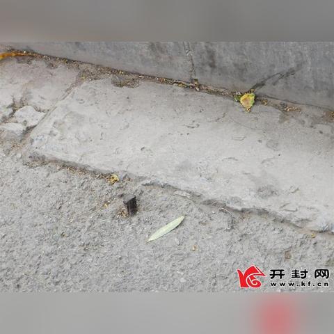 河南大学明伦校区地址的相关长尾关键词有哪些