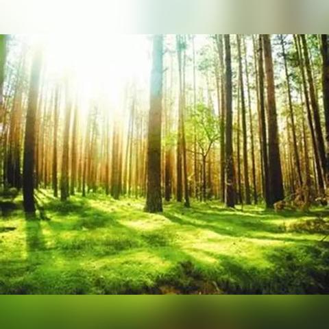 温州市棉被店铺的长尾关键词有哪些