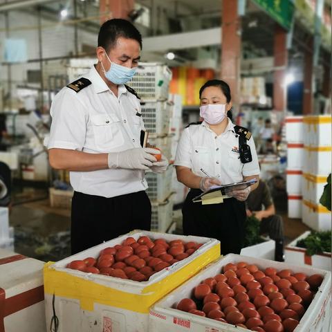 东莞市的车牌是哪里做的