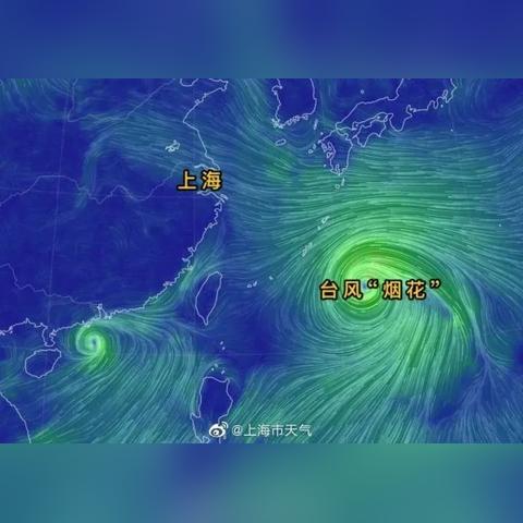 河南给上海捐了什么