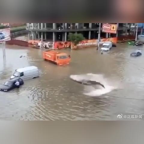 河南的哪个海洋馆好玩