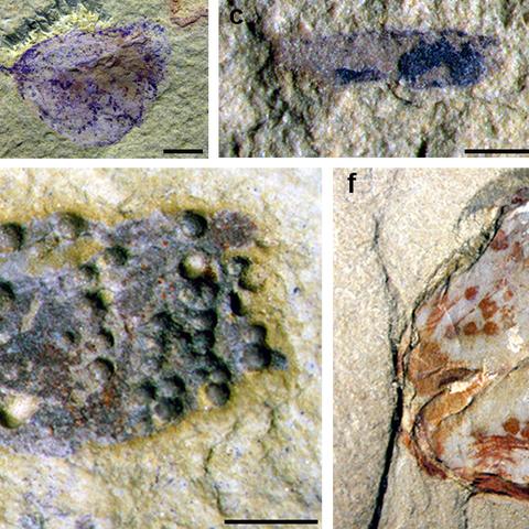 广州微信小姐相关长尾关键词有哪些